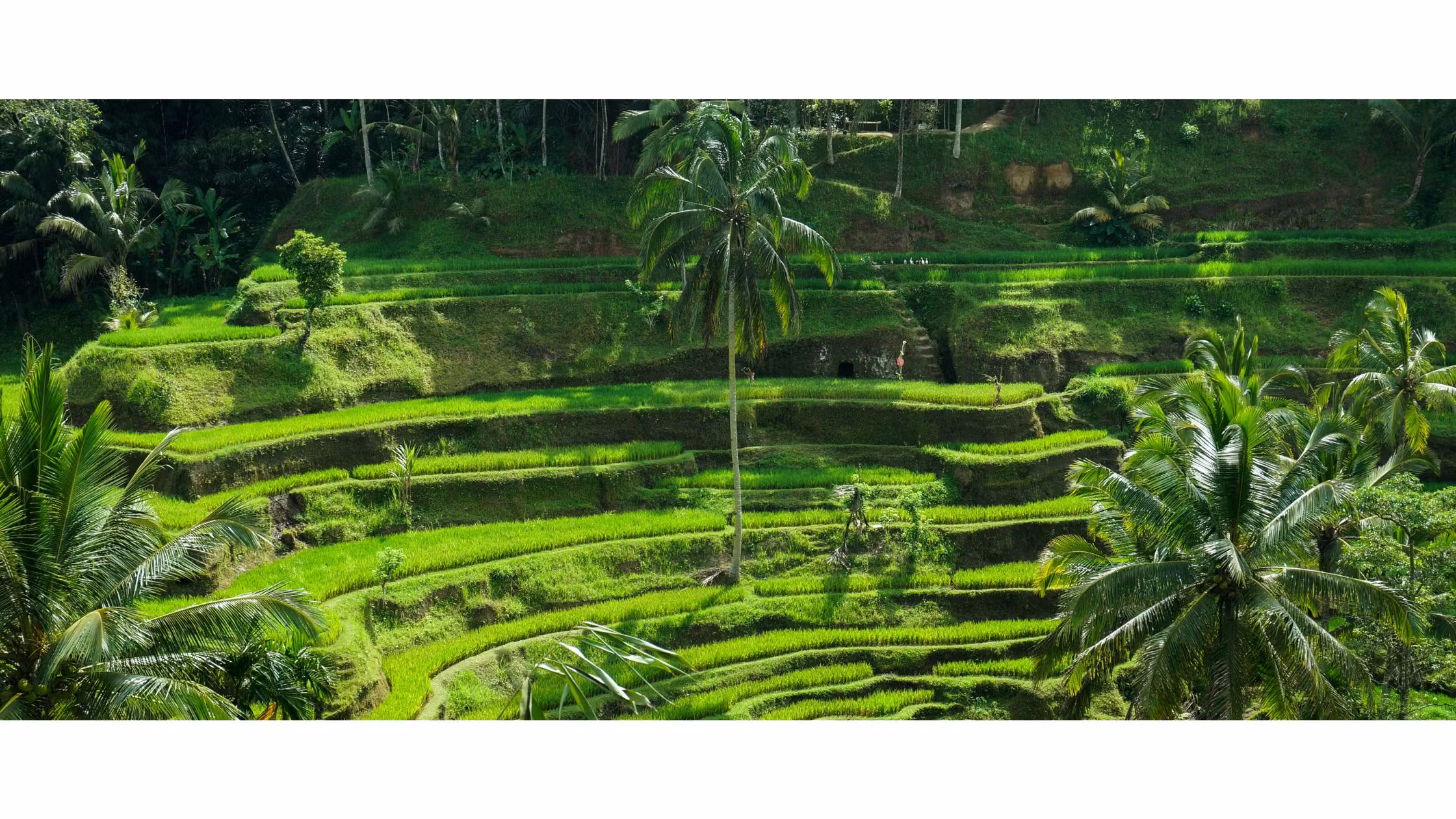 Wide view of Pura Ulun Danu Beratan, central Bali, an establishing shot a Bali film crew and line producer set up for OTT briefs