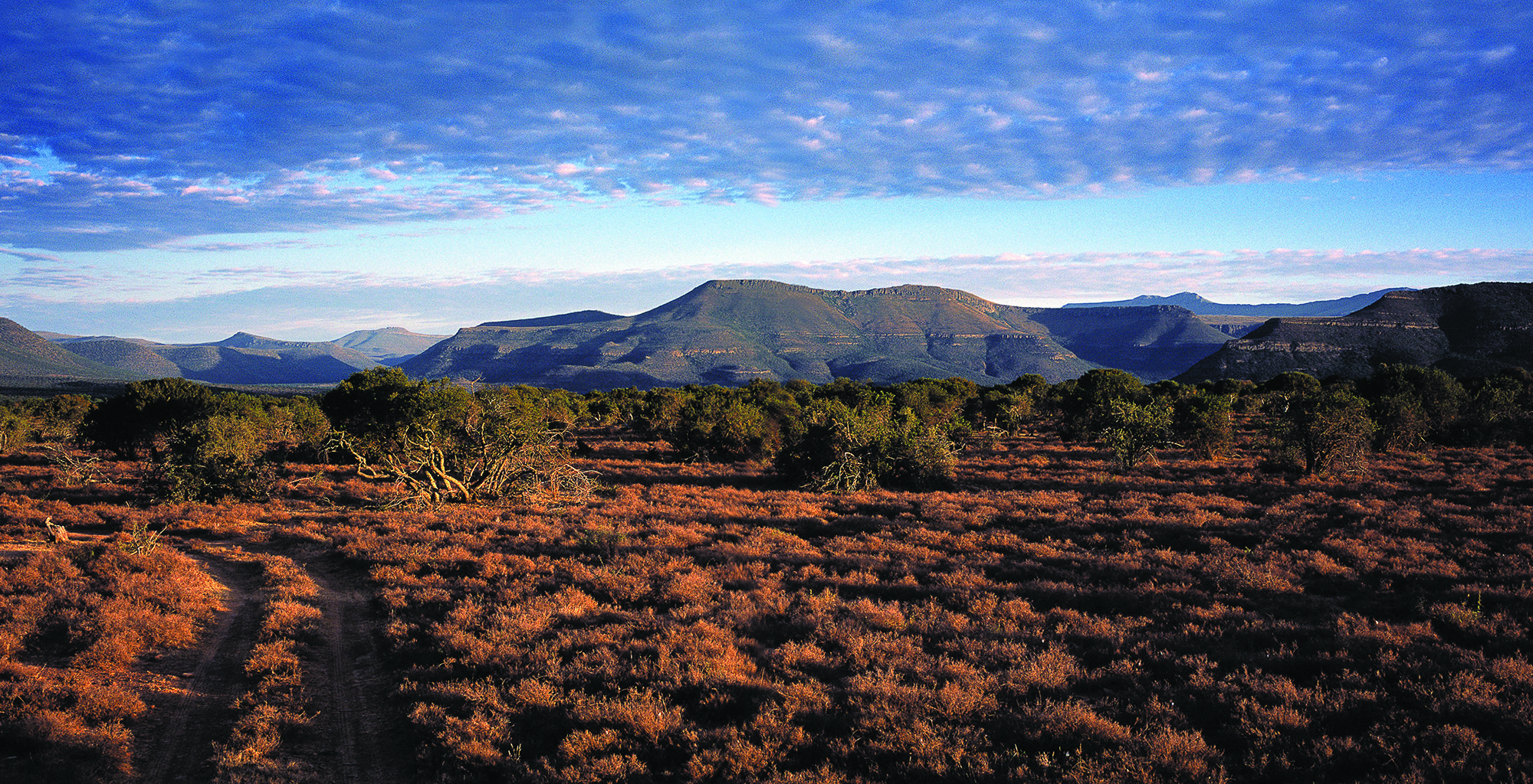 Karoo wide-angle landscape, semi-arid Western Cape plateau filming terrain