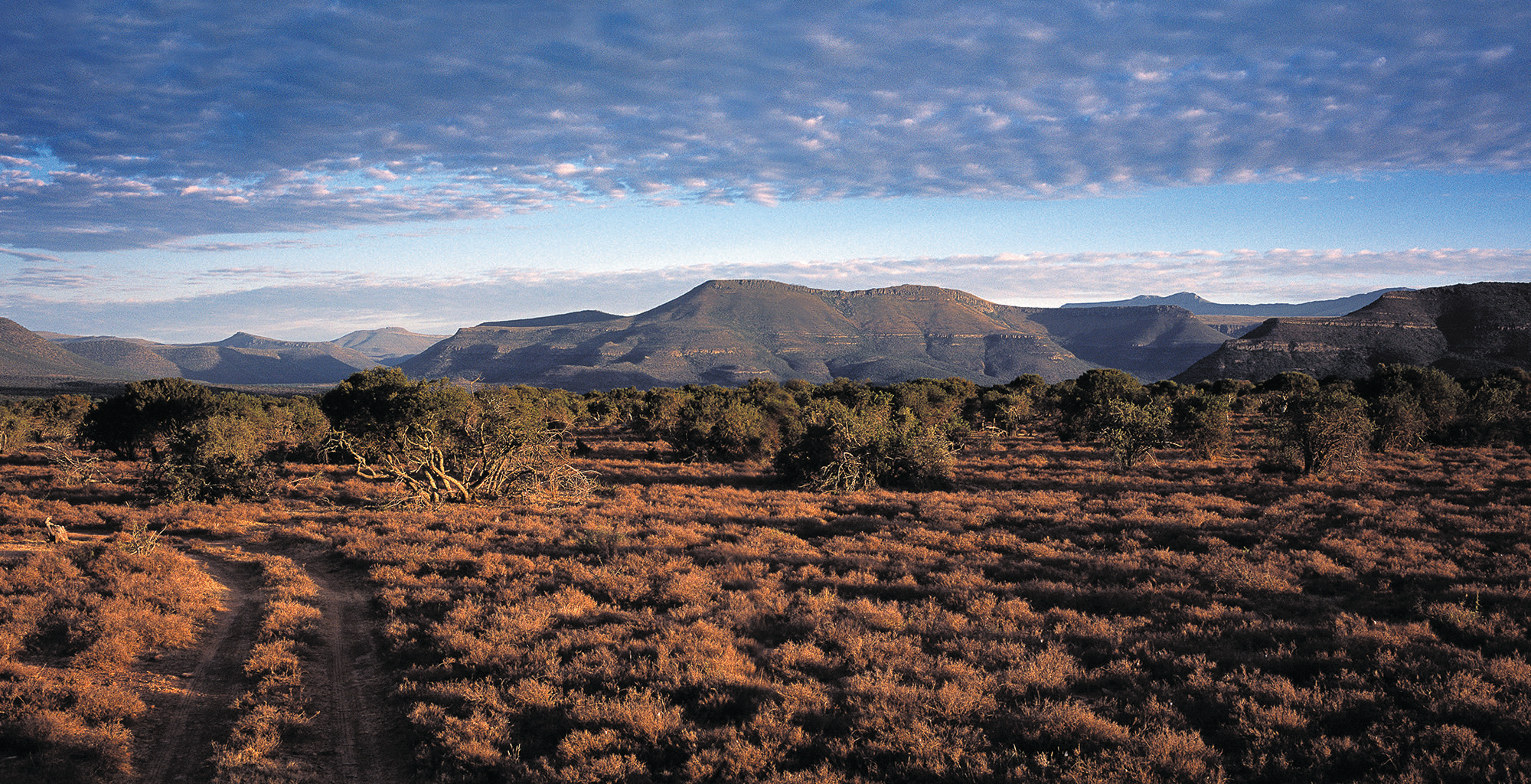 Karoo wide-angle landscape, semi-arid Western Cape plateau filming terrain