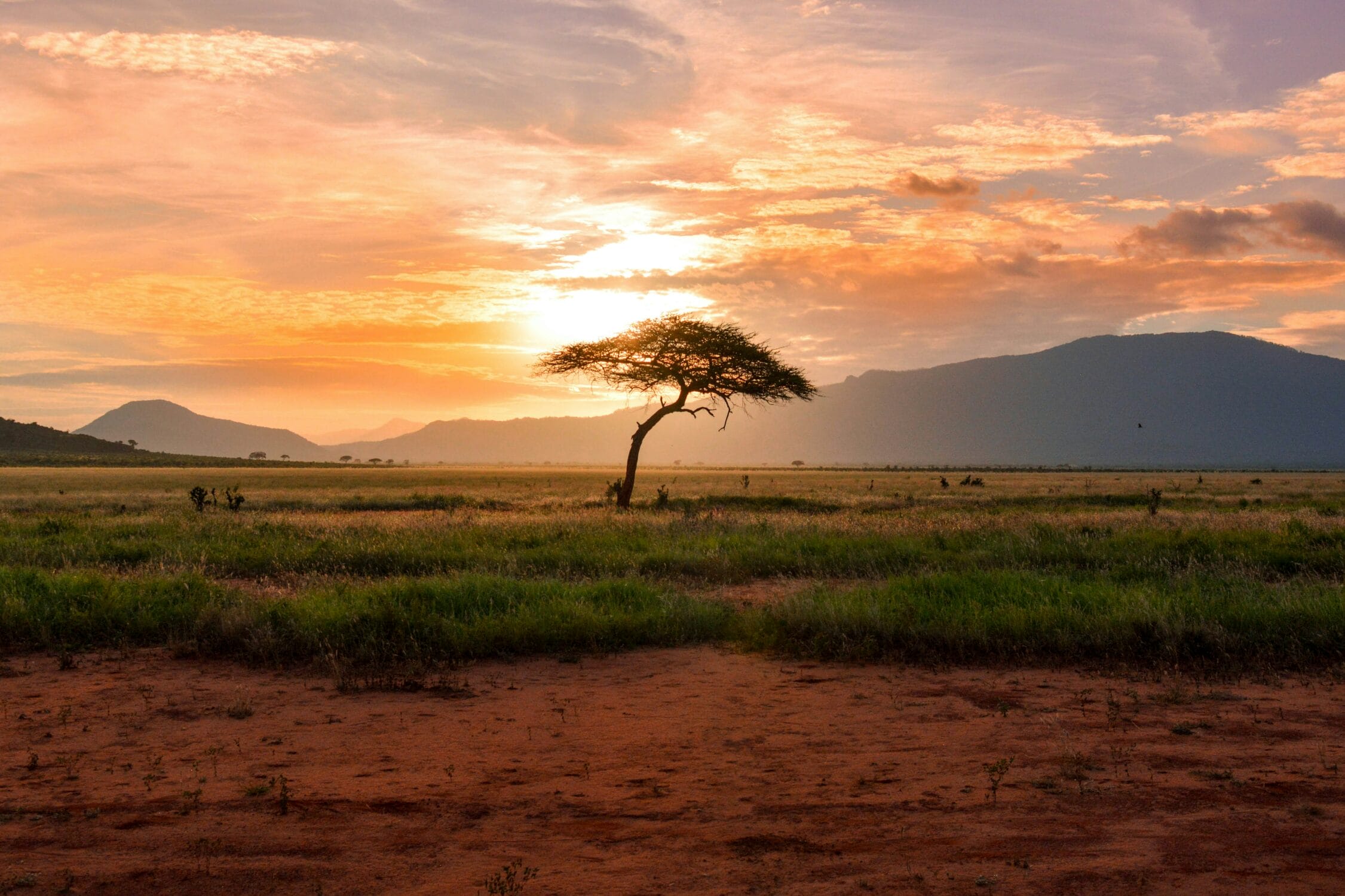 Line producer Africa coordinating a cross-border international production